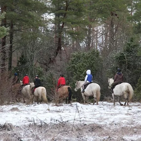 Apartamento Majutus Ratsaklubis Massu (Laaneranna)