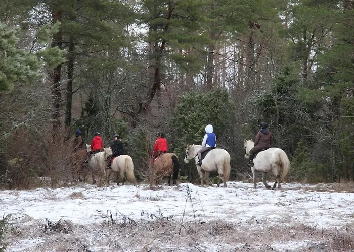 Apartment Majutus Massu Ratsaklubis Massu (Laaneranna)